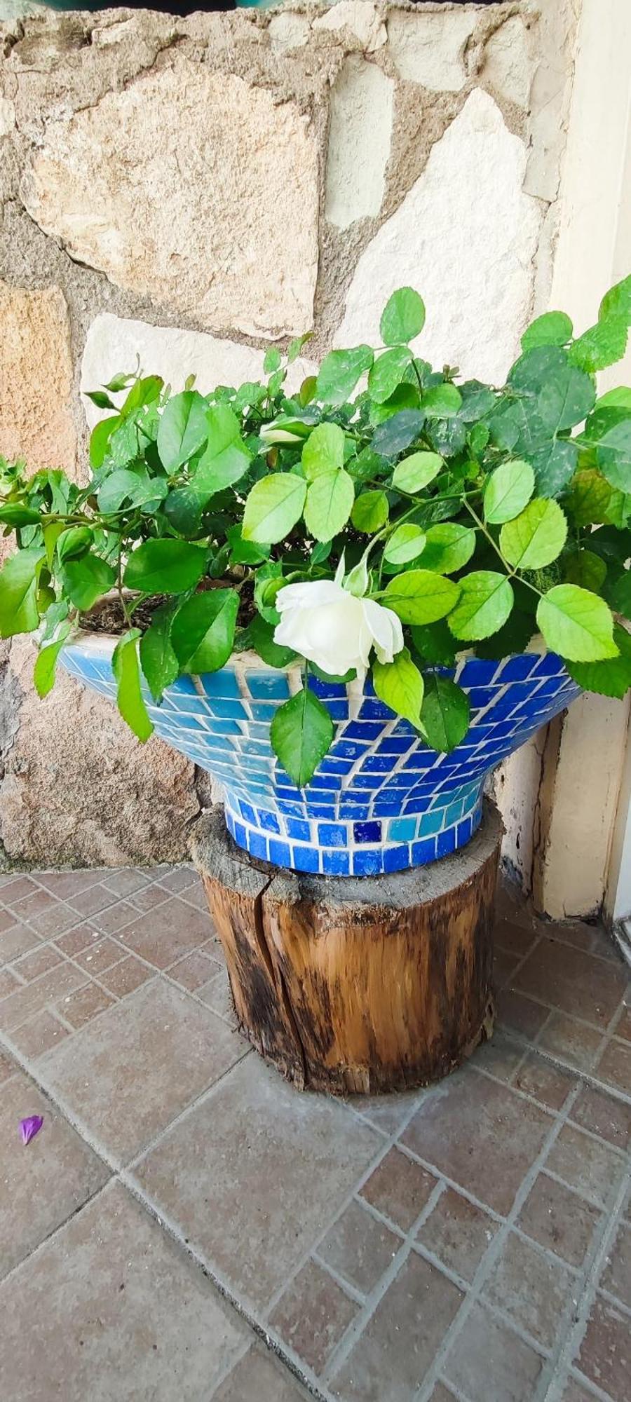 Bonapart Hotel Çeşme Eksteriør bilde
